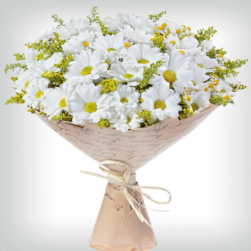 Гармония, стандартный