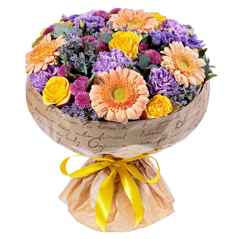 Галактика Чувств, стандартный