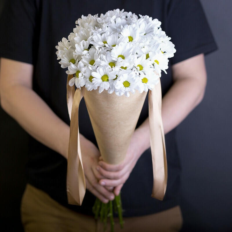 Hrizantemi Bakardi, 7 sht.