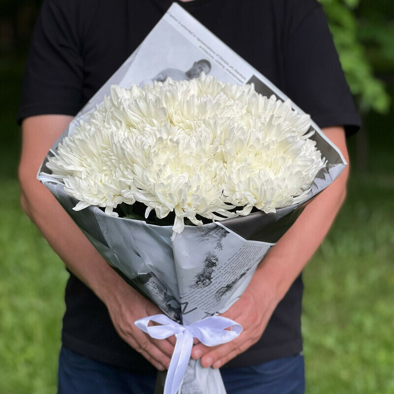 Hrizantemi-Plombir, luxe