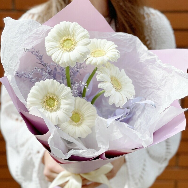 Белая Ночь (СПЕЦ.ПРЕДЛОЖЕНИЕ от 10 шт. на 1 адрес), стандартный