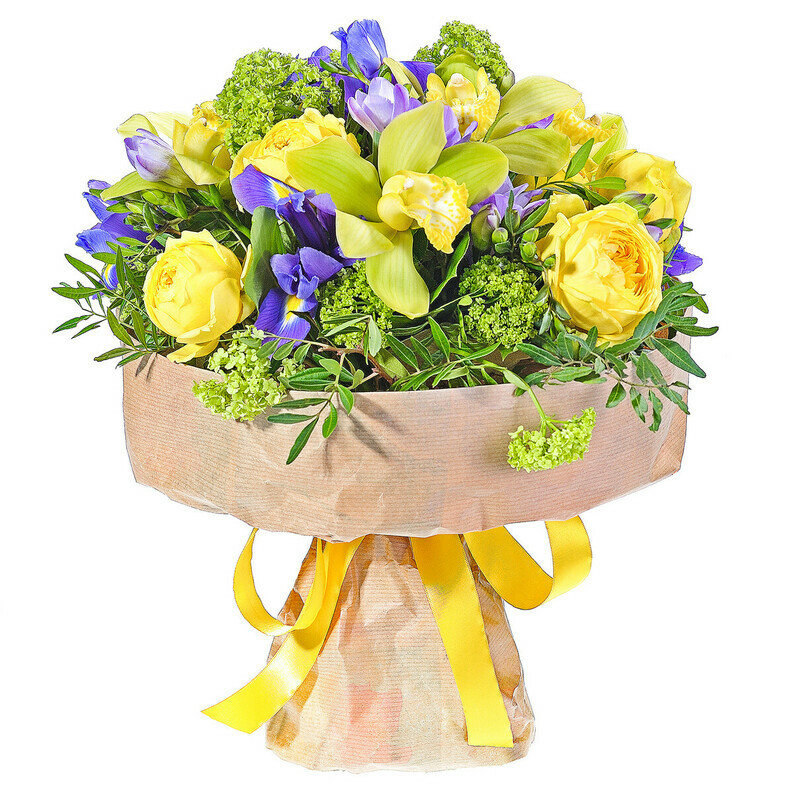 Solnechnoe Zvuchanie, standart