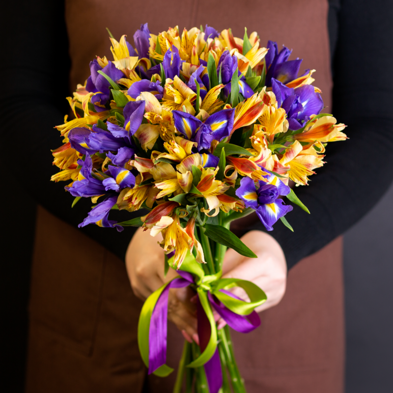 Al_stromerii i Irisi, luxe