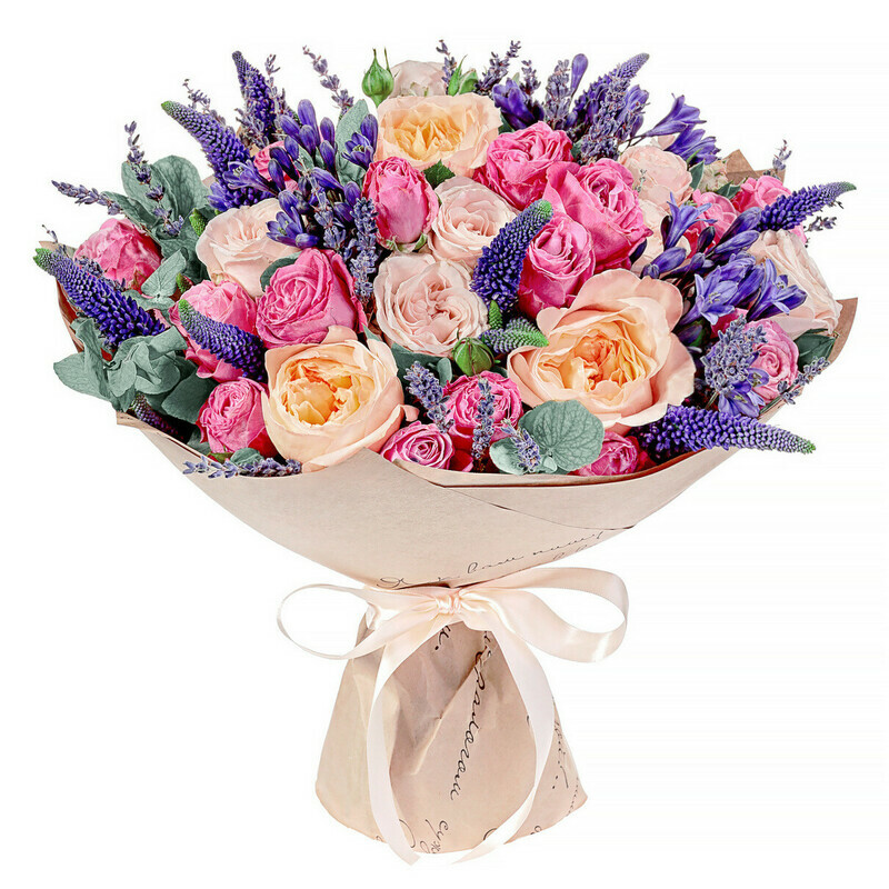 Koketlivaya Frantcuzhenka, standart