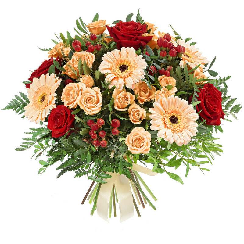 Яркие Огни, делюкс