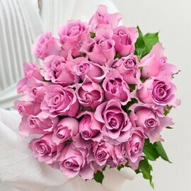 25 Лиловых Кенийских Роз