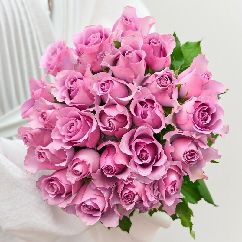 27 Лиловых Кенийских Роз, 27 шт.