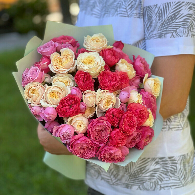 Розы Джульетта Микс, стандартный