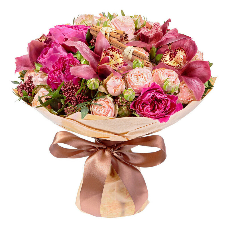 SHyolk i Hlopok, standart