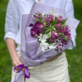 Альстромерия Микс