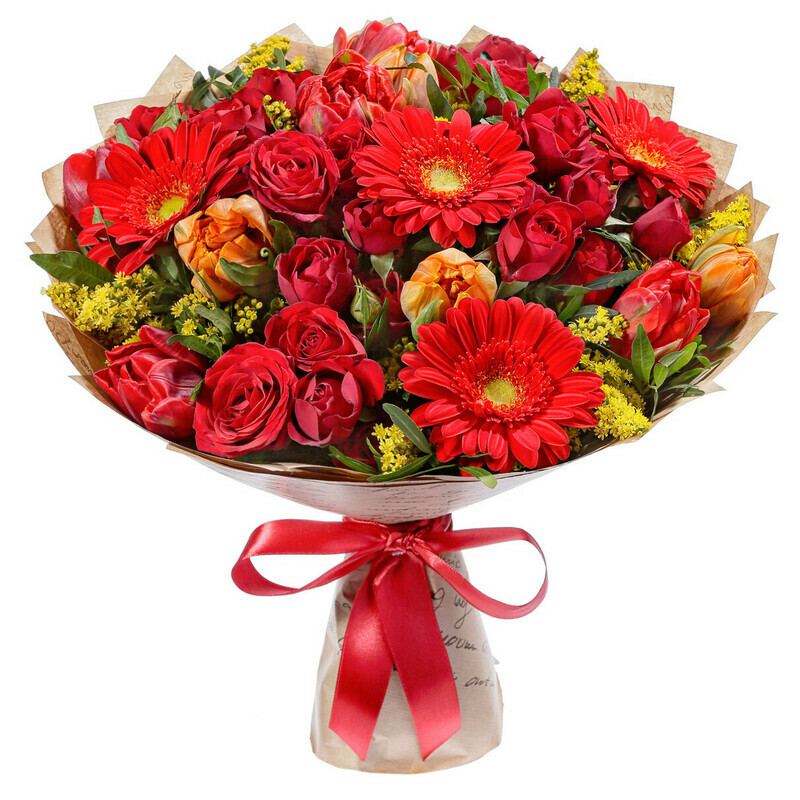 Гимн Весне, стандартный