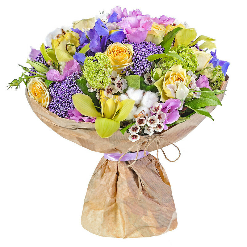 Кантри Шарм, стандартный