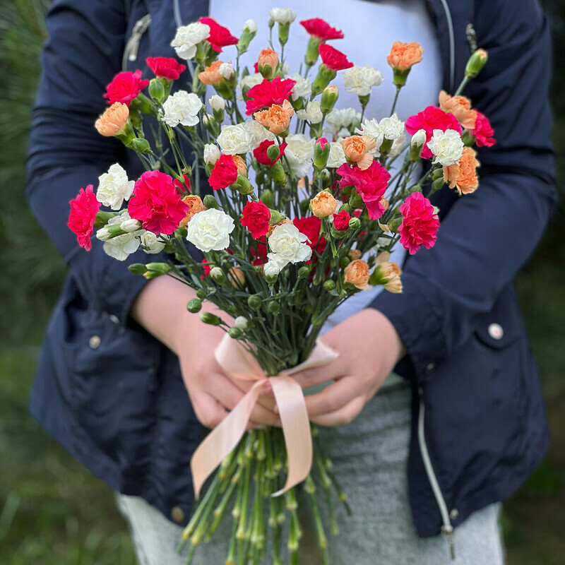 Гвоздика Микс 15 гвоздик, 15 шт.