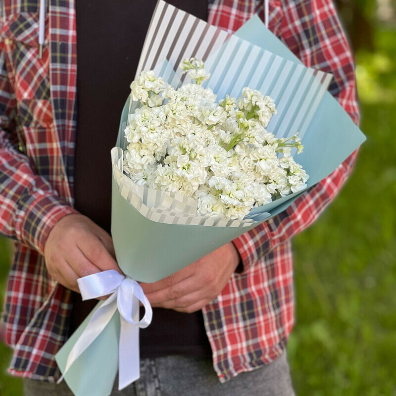 Белая Маттиола, уменьшенный