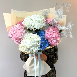 Воздушные Гортензии