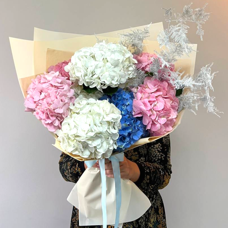 Воздушные Гортензии, стандартный