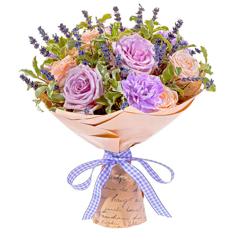 TCveti Provansa, reduced