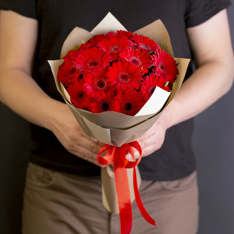 Krasnie Gerberi, reduced