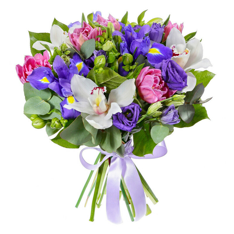 Белые Ночи, уменьшенный