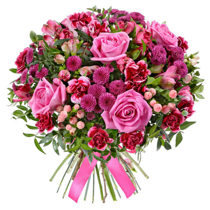 Малиновый Бархат, стандартный