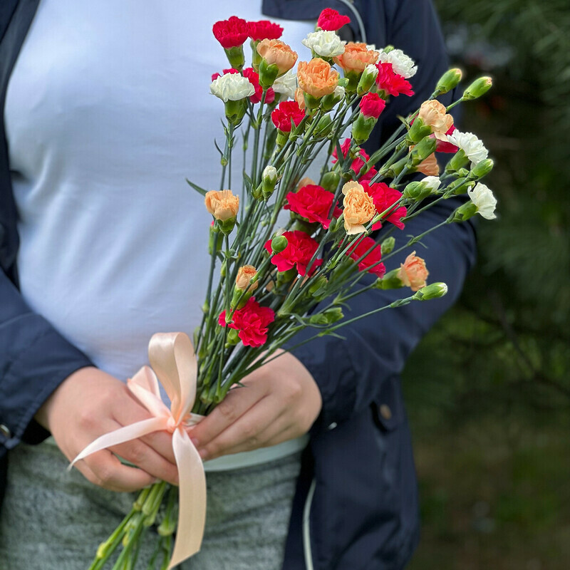 Gvozdika Miks, 9 sht.