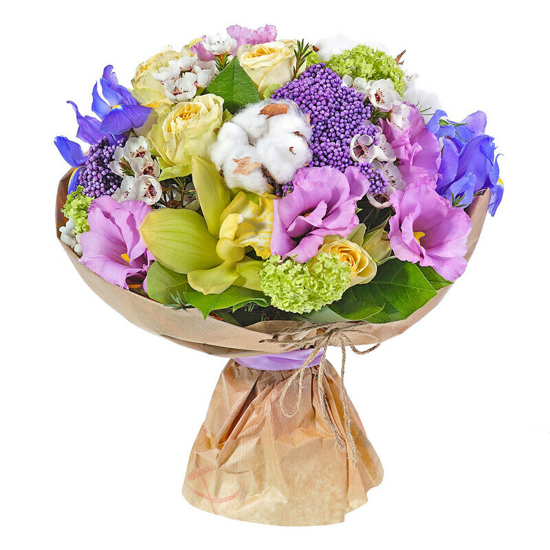 Kantri SHarm, reduced