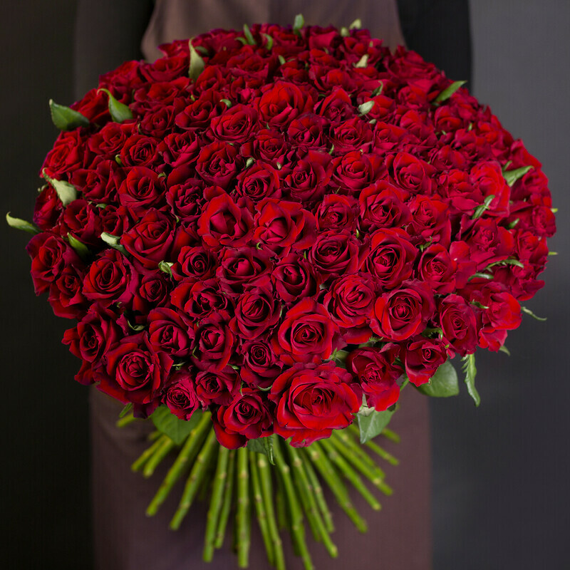 Розы Красный Бархат 101 роза, 101 роза