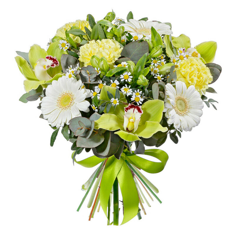 Свежесть Росы, уменьшенный