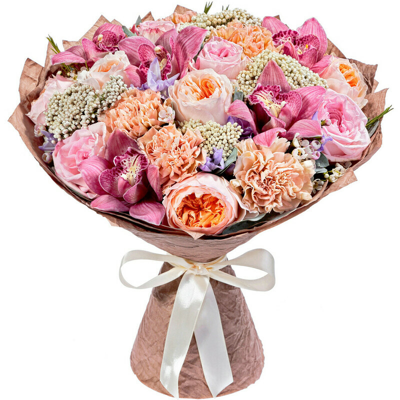 Шелест Шёлка, стандартный