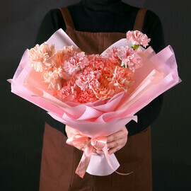 Очаровательные Диантусы