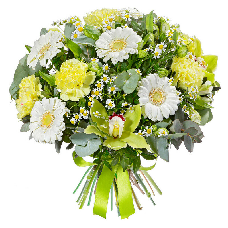 Свежесть Росы, стандартный