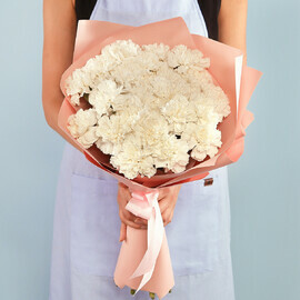 Белые Диантусы