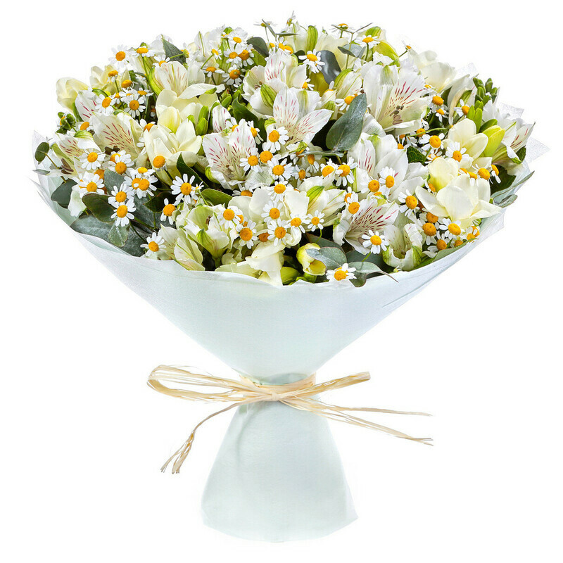 Нежная Королева, стандартный