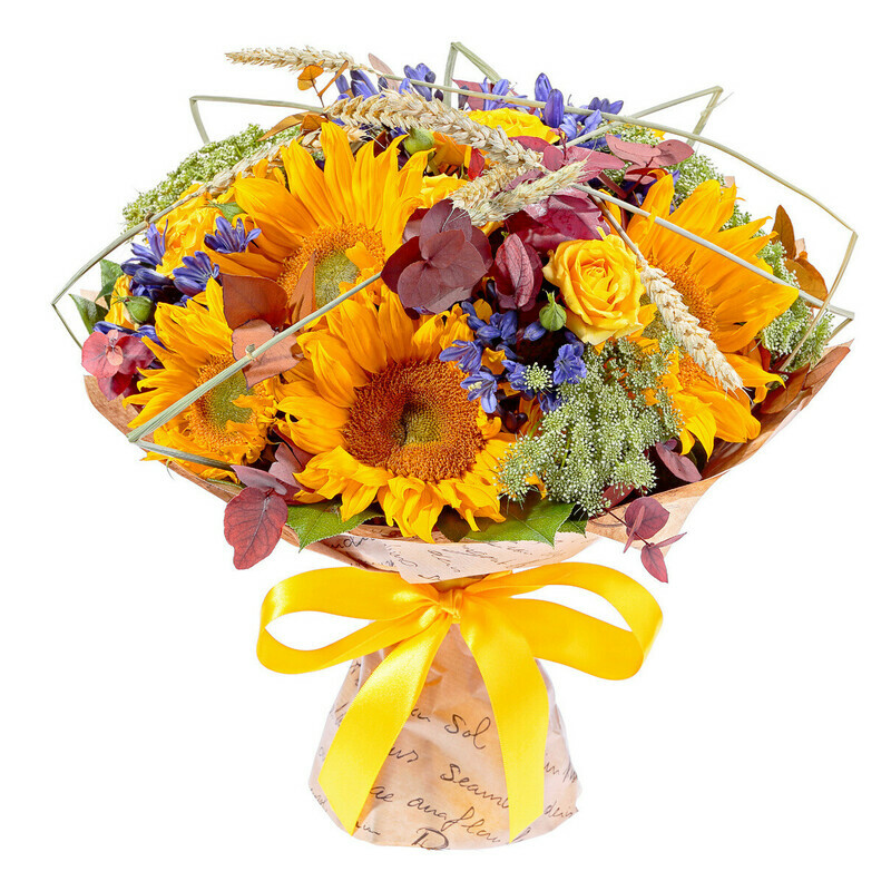 Кантри Пейзаж, стандартный