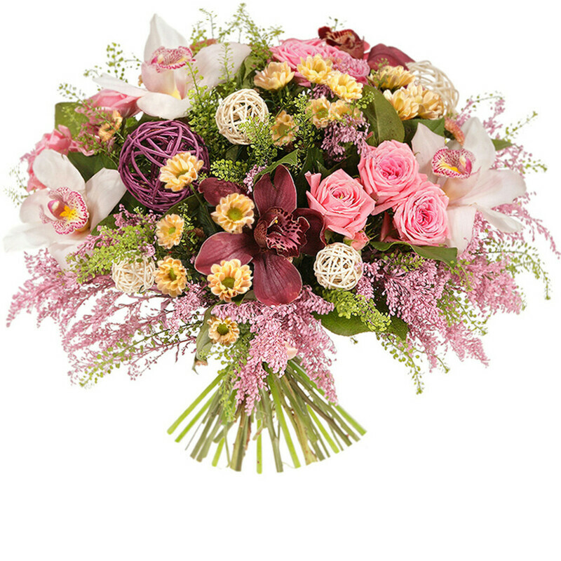 Богемия, стандартный