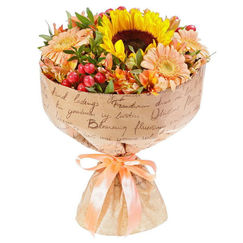 Val_s TCvetov, reduced