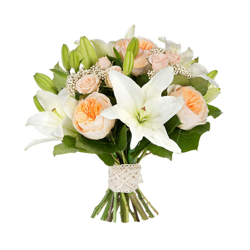 Belaya Koroleva, reduced