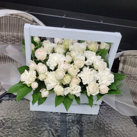 Мастерок белый