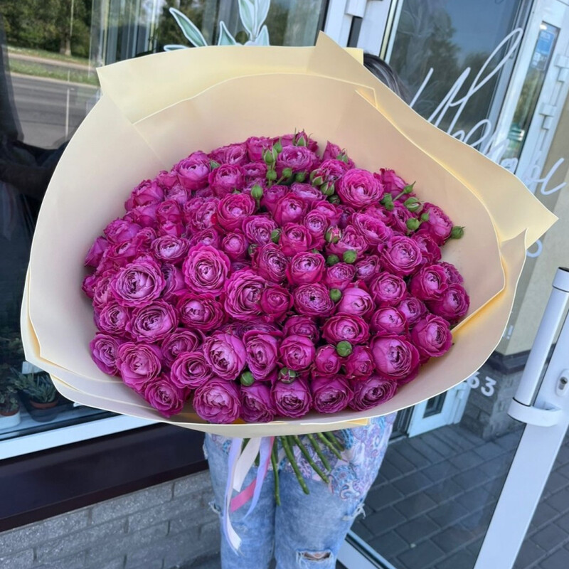 Malinovij sherbet, standart