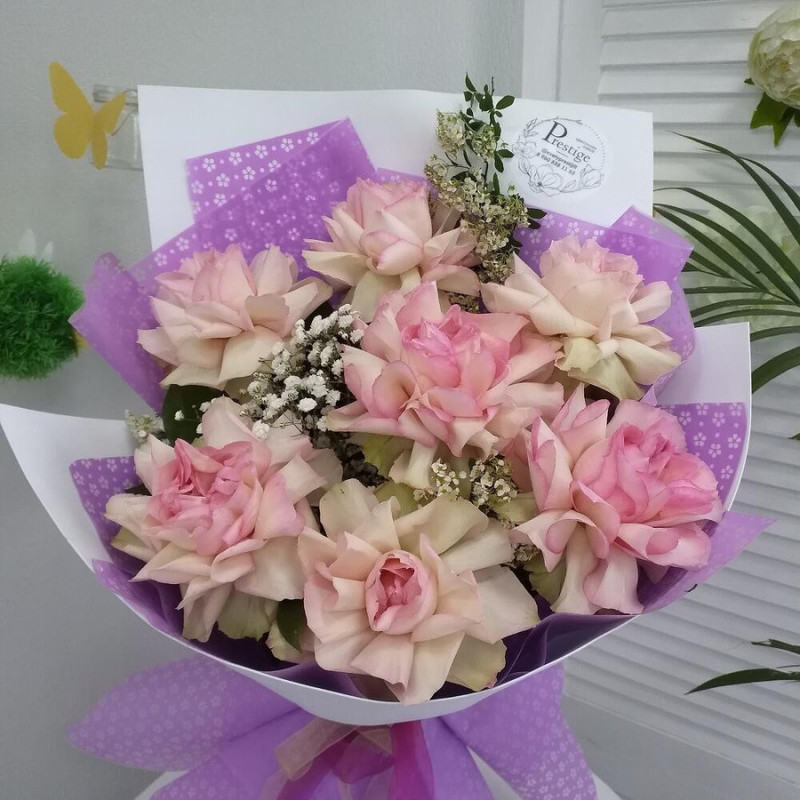 Эсперанс, стандартный