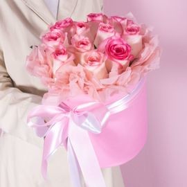 Rozi Dzhumiliya v korobke