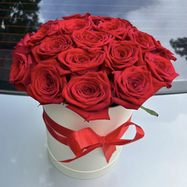 Роза красная 21 в коробке