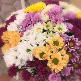 Микс из хризантем