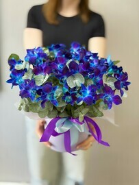 Коробка орхидей дендробиум