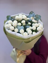 Букет из хризантем «Ньютон»
