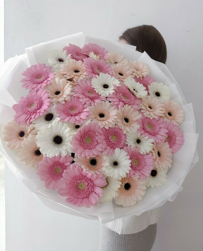 51 гермини , стандартный