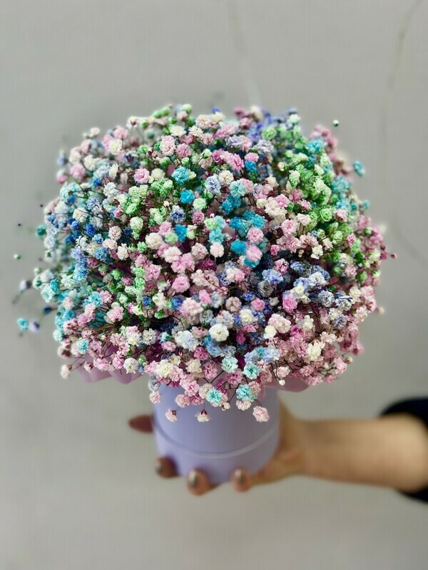 Коробка гипсофилы, уменьшенный