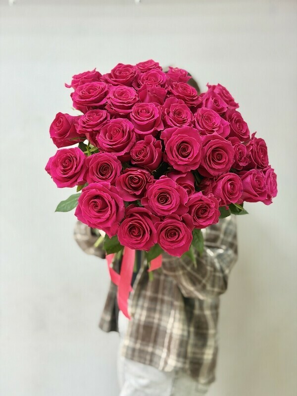 25 equator roses under the ribbon , roza ekvador