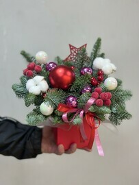 Композиция в коробке из нобилиса с хлопком