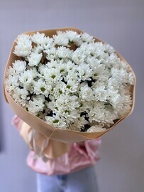 Пышный круглый букет 17 кустовых хризантем 